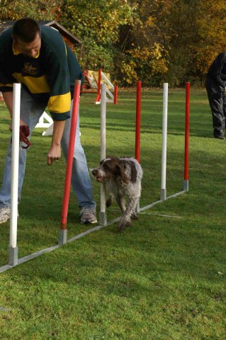 agility 2011-10-30